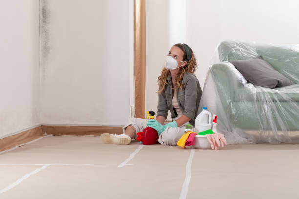 Reliable Mold Remediation contractor in Euless, TX by WQB Mold Removal